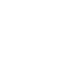 House with a "+" an icon for services 